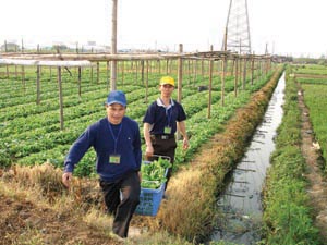 萬康餐飲團膳業務注重細分化管理